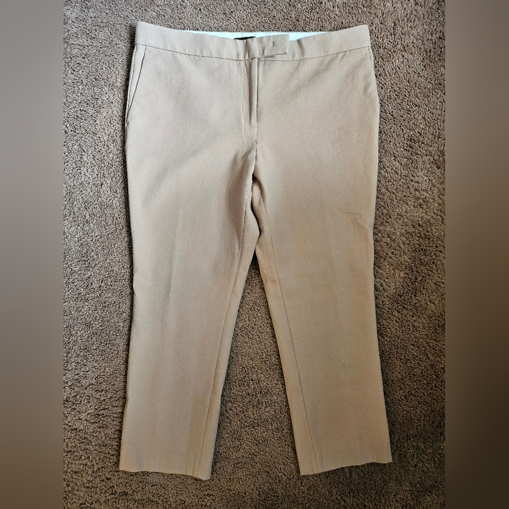 Ann Taylor Devin Fit Petite Tan Pantc size 12P